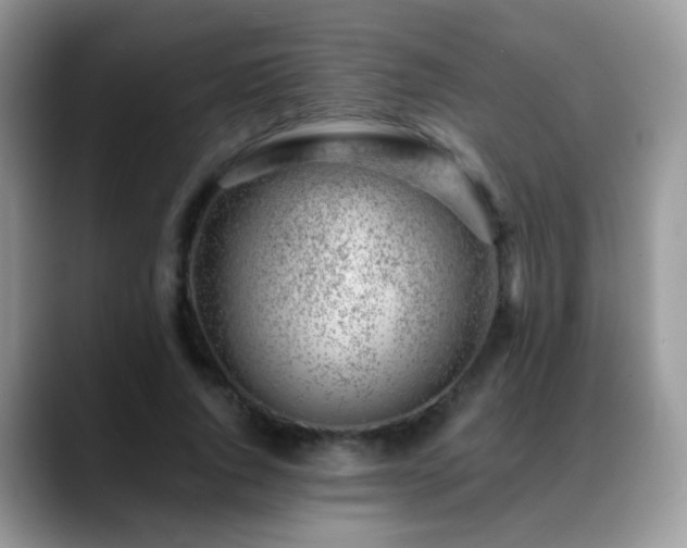 X0000088900736200706081305