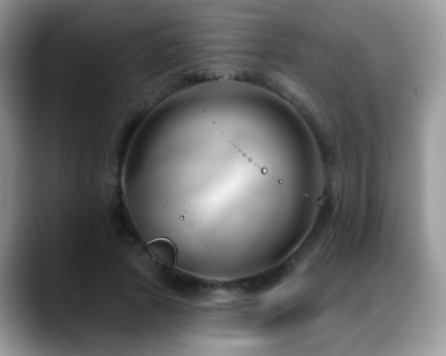 X0000088900737200706081305