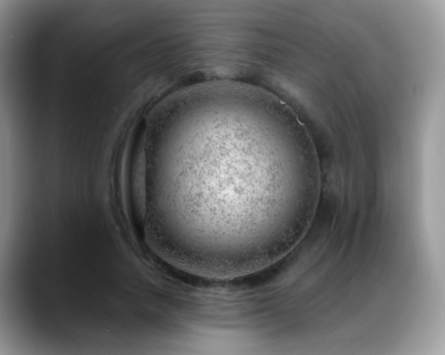 X0000088900738200706081305