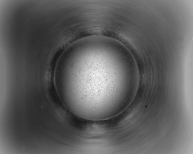 X0000088900739200706081305