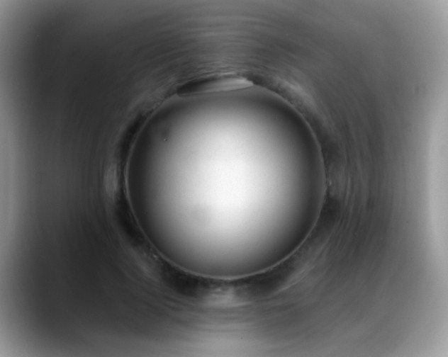 X0000088900740200706081305
