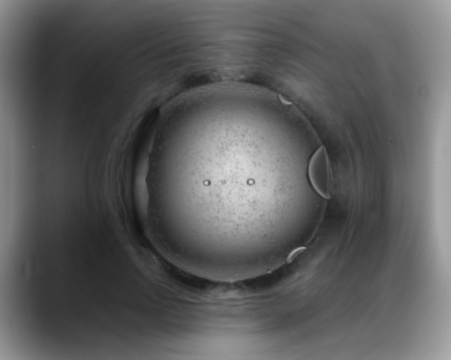 X0000088900742200706081305