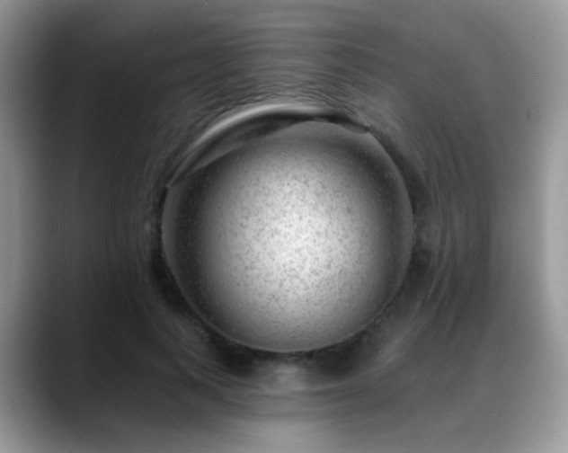 X0000088900743200706081305