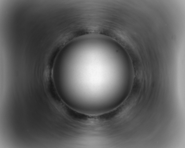 X0000088900744200706081305