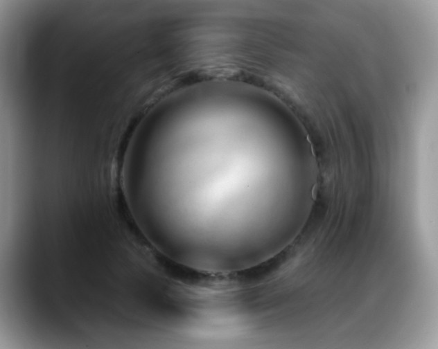 X0000088900745200706081305