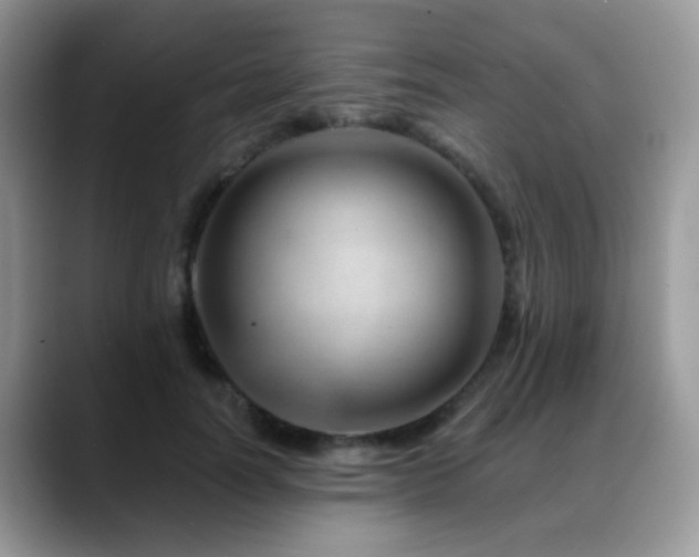 X0000088900746200706081305