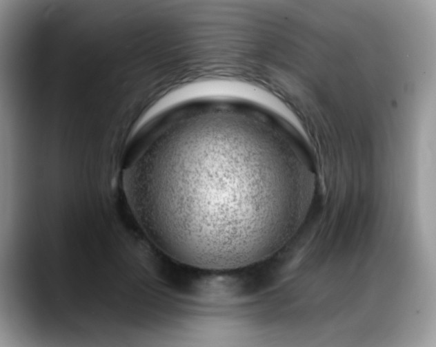 X0000088900748200706081305