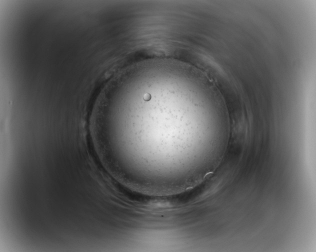 X0000088900749200706081305