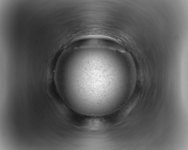 X0000088900751200706081305