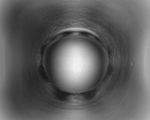 X0000088900752200706081305