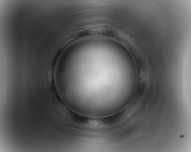 X0000088900753200706081305