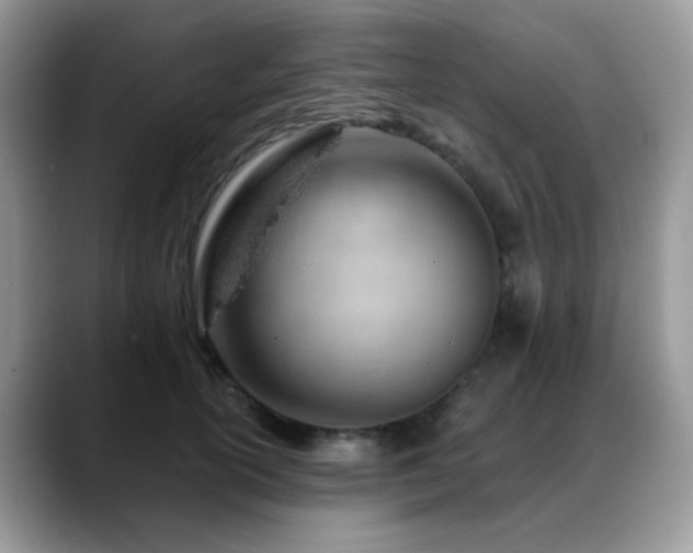 X0000088900754200706081305