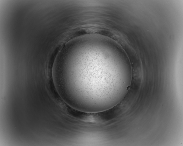X0000088900755200706081305