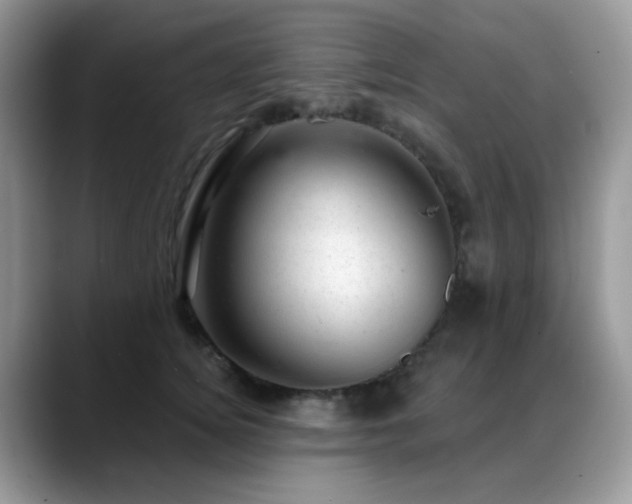 X0000088900756200706081306