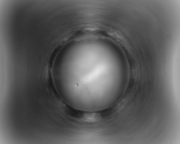 X0000088900757200706081306