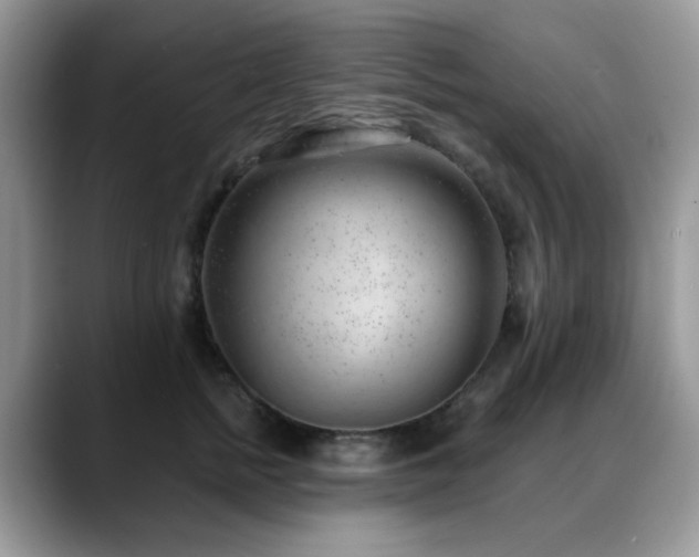 X0000088900758200706081306