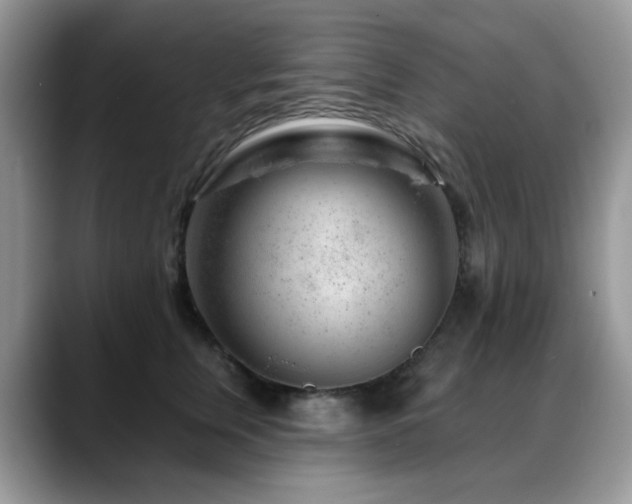 X0000088900759200706081306
