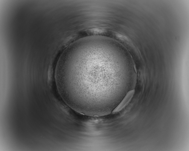 X0000088900760200706081306