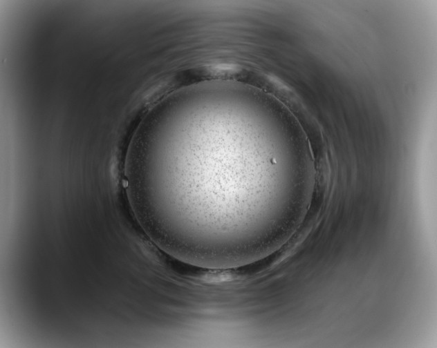 X0000088900762200706081306