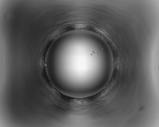 X0000088900763200706081306