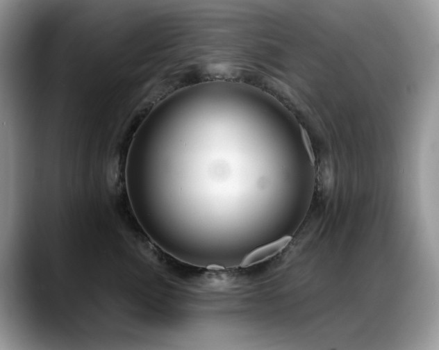 X0000088900764200706081306