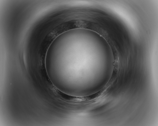 X0000088900765200706081306