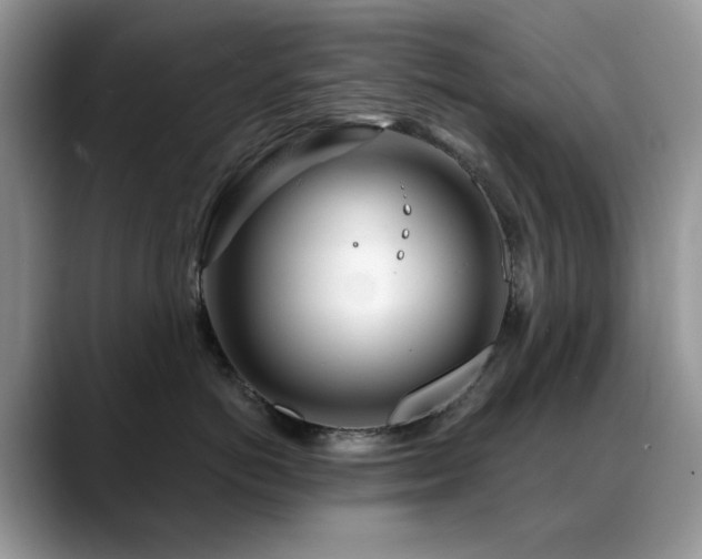 X0000088900766200706081306