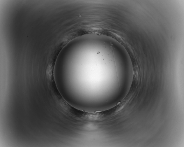 X0000088900767200706081306