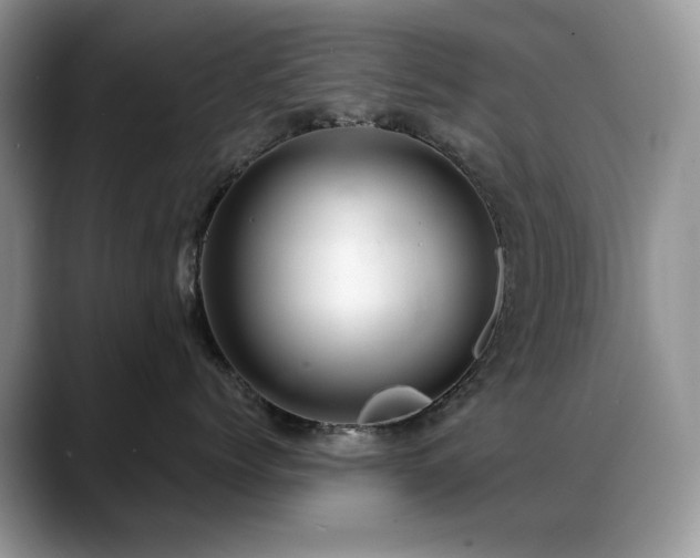 X0000088900768200706081306
