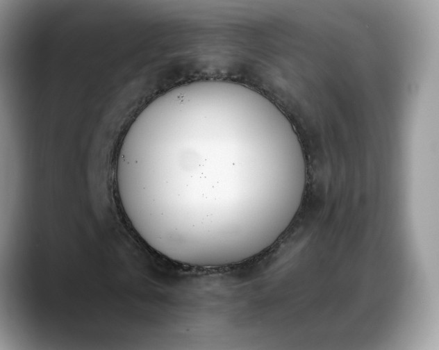 X0000088900769200706081305