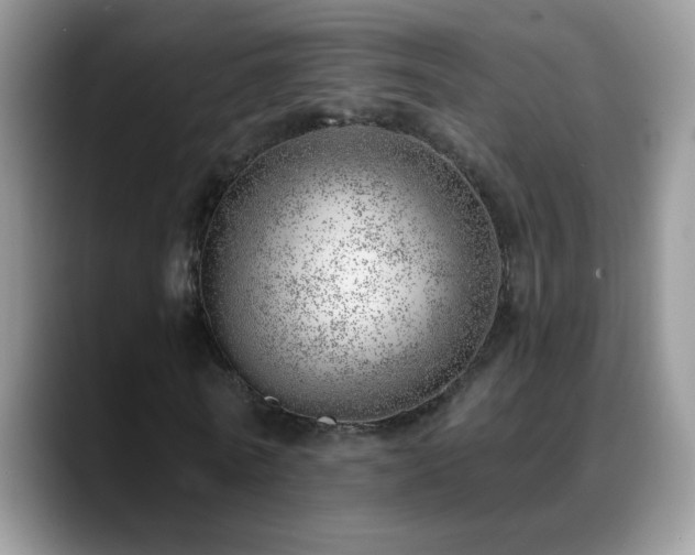 X0000088900770200706081305