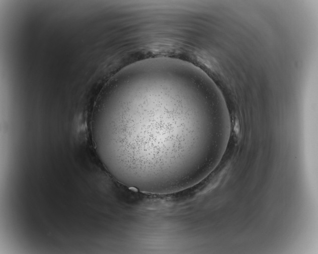 X0000088900771200706081305