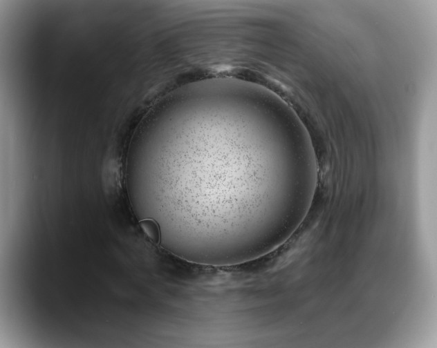 X0000088900772200706081305