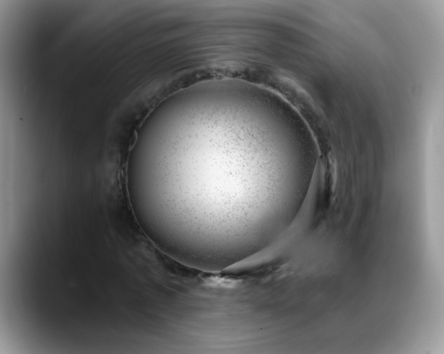 X0000088900773200706081305