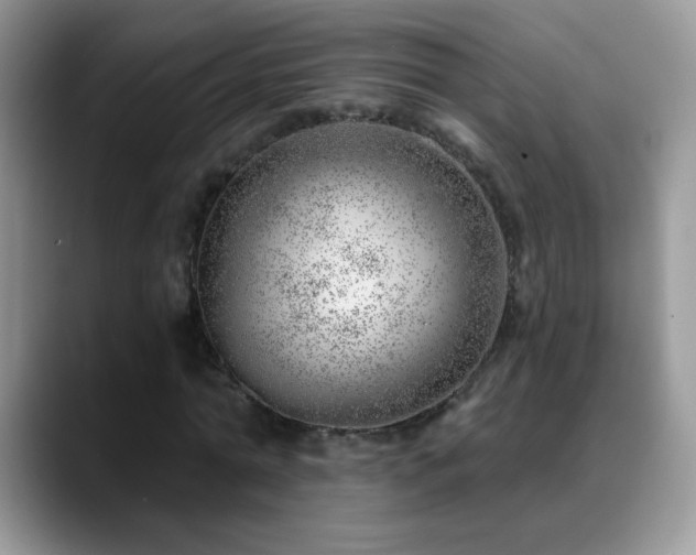 X0000088900774200706081305