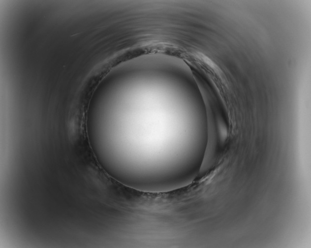 X0000088900775200706081305