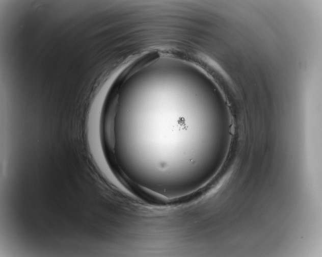 X0000088900777200706081305