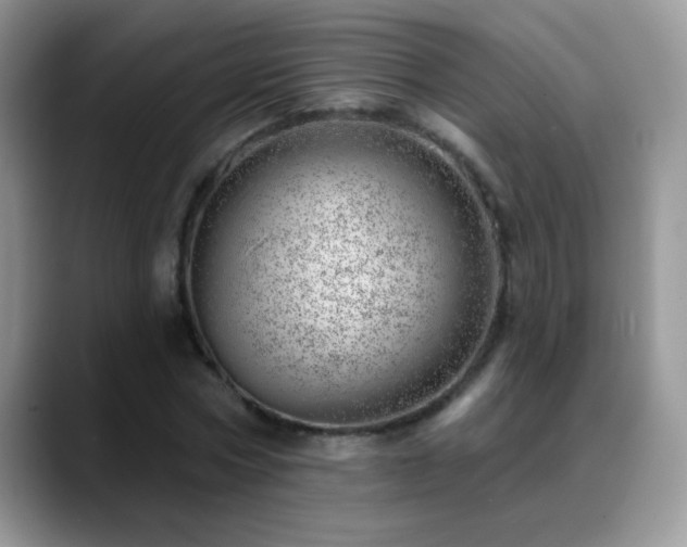 X0000088900778200706081305