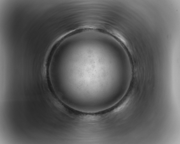 X0000088900779200706081305