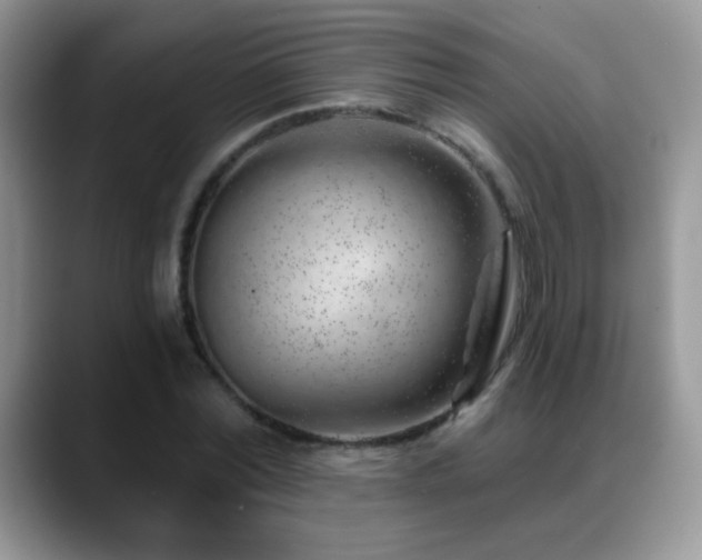 X0000088900780200706081305