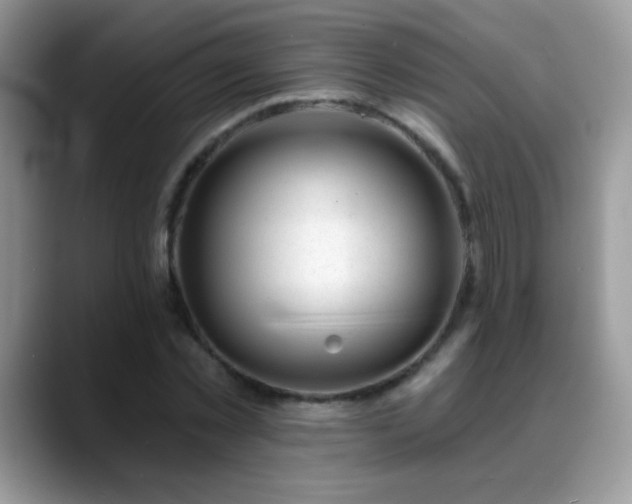 X0000088900781200706081305
