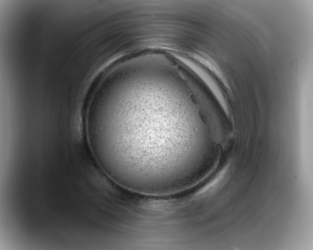 X0000088900782200706081305