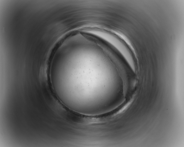 X0000088900783200706081305
