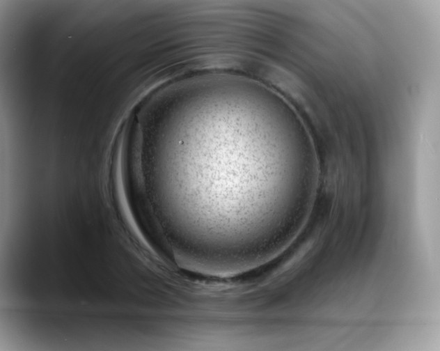 X0000088900786200706081305