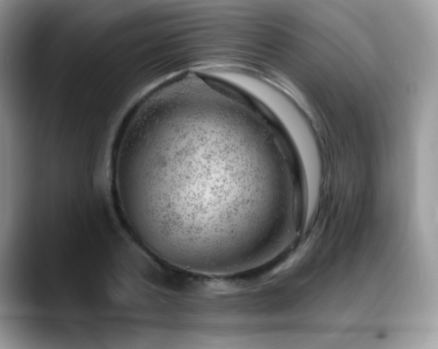 X0000088900787200706081305