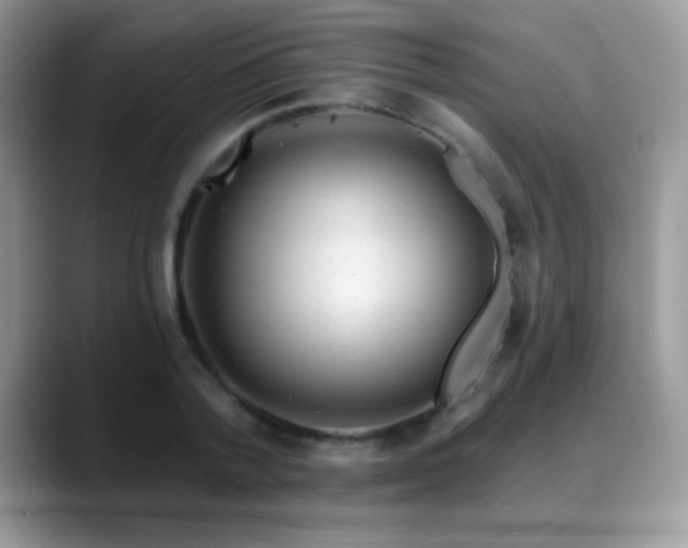 X0000088900788200706081305