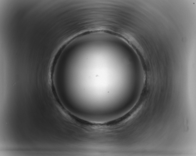 X0000088900789200706081305