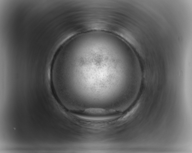 X0000088900790200706081305