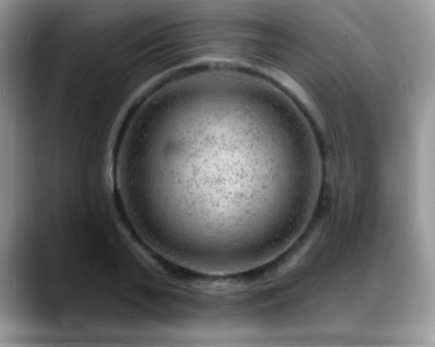 X0000088900791200706081305