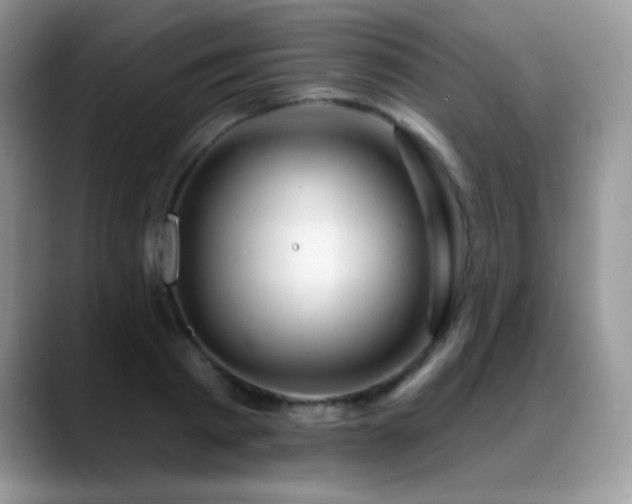 X0000088900793200706081305